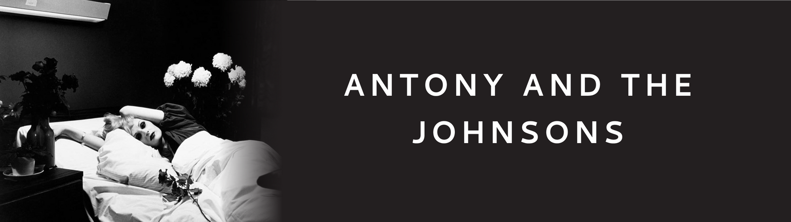 Antony and the Johnsons