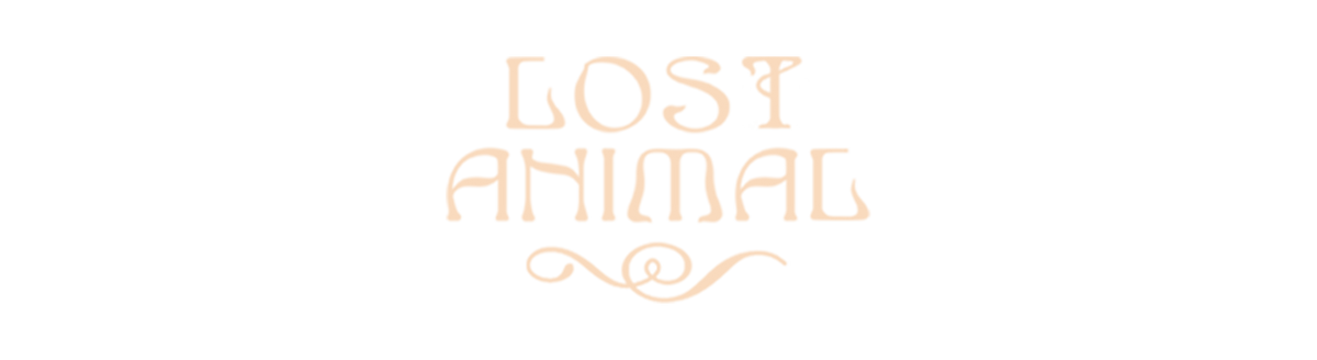 Lost Animal