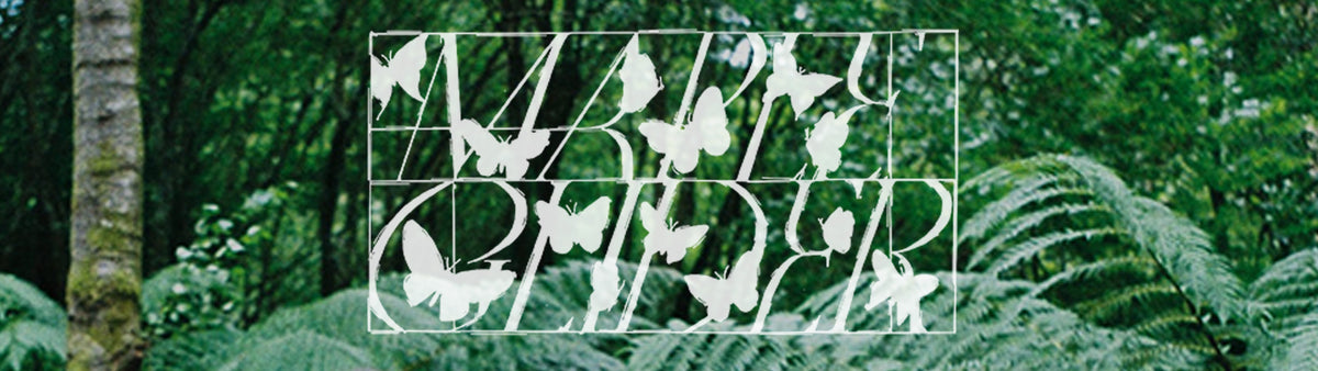 Maple Glider