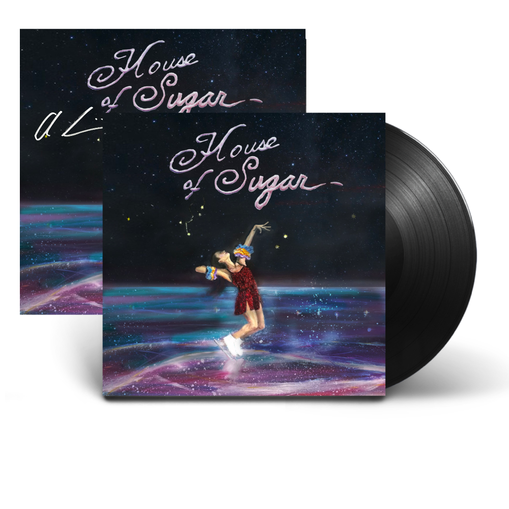 (Sandy) Alex G / House Of Sugar LP Vinyl & Signed Art Print