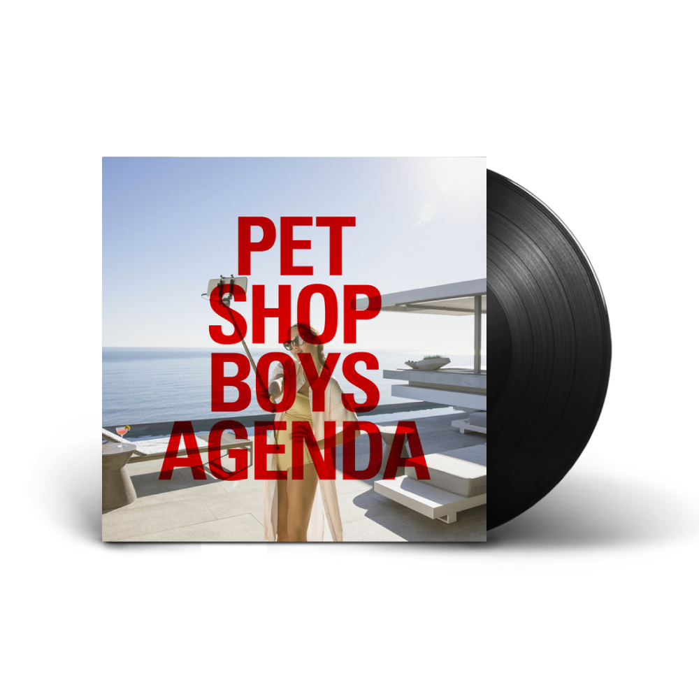 Pet Shop Boys / Agenda 12" Vinyl