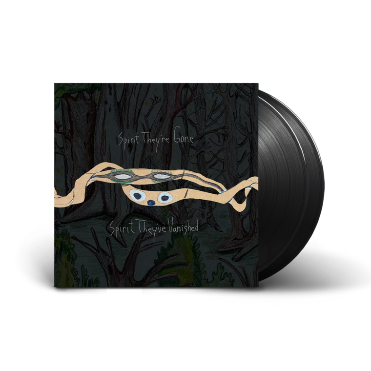 Animal Collective / Spirit They’re Gone, Spirit They’re Vanished 2xLP Black Vinyl