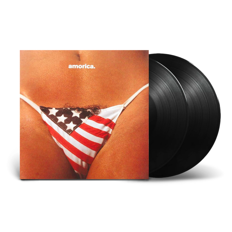 The Black Crowes / Amorica 2LP Vinyl