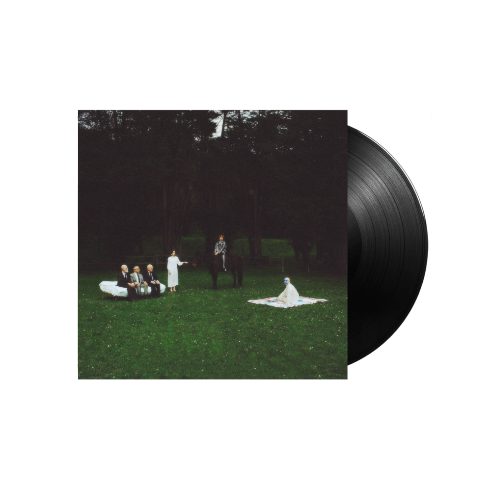 Big Words / Nightmares of a Stardom Dream LP Standard Black Vinyl ***DAMAGED SLEEVE***