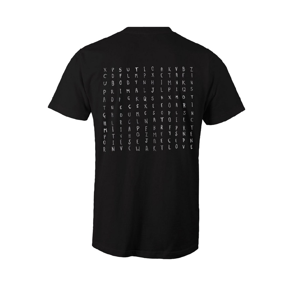 Big Scary / Find-a-Instinct - Charcoal T-Shirt