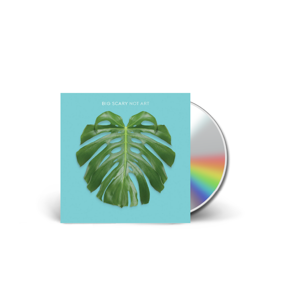 Big Scary / Not Art (LP | 2013) Physical CD