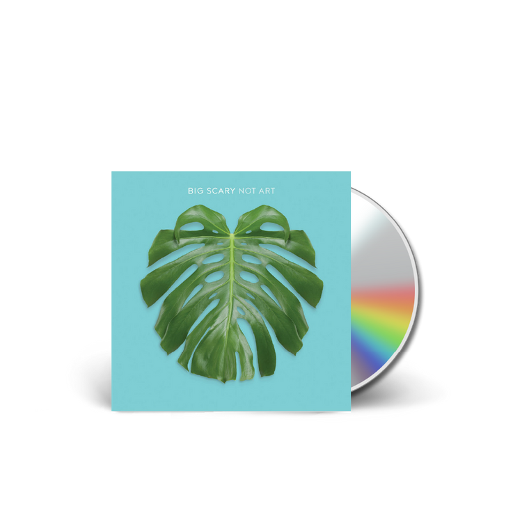 Big Scary / Not Art (LP | 2013) Physical CD
