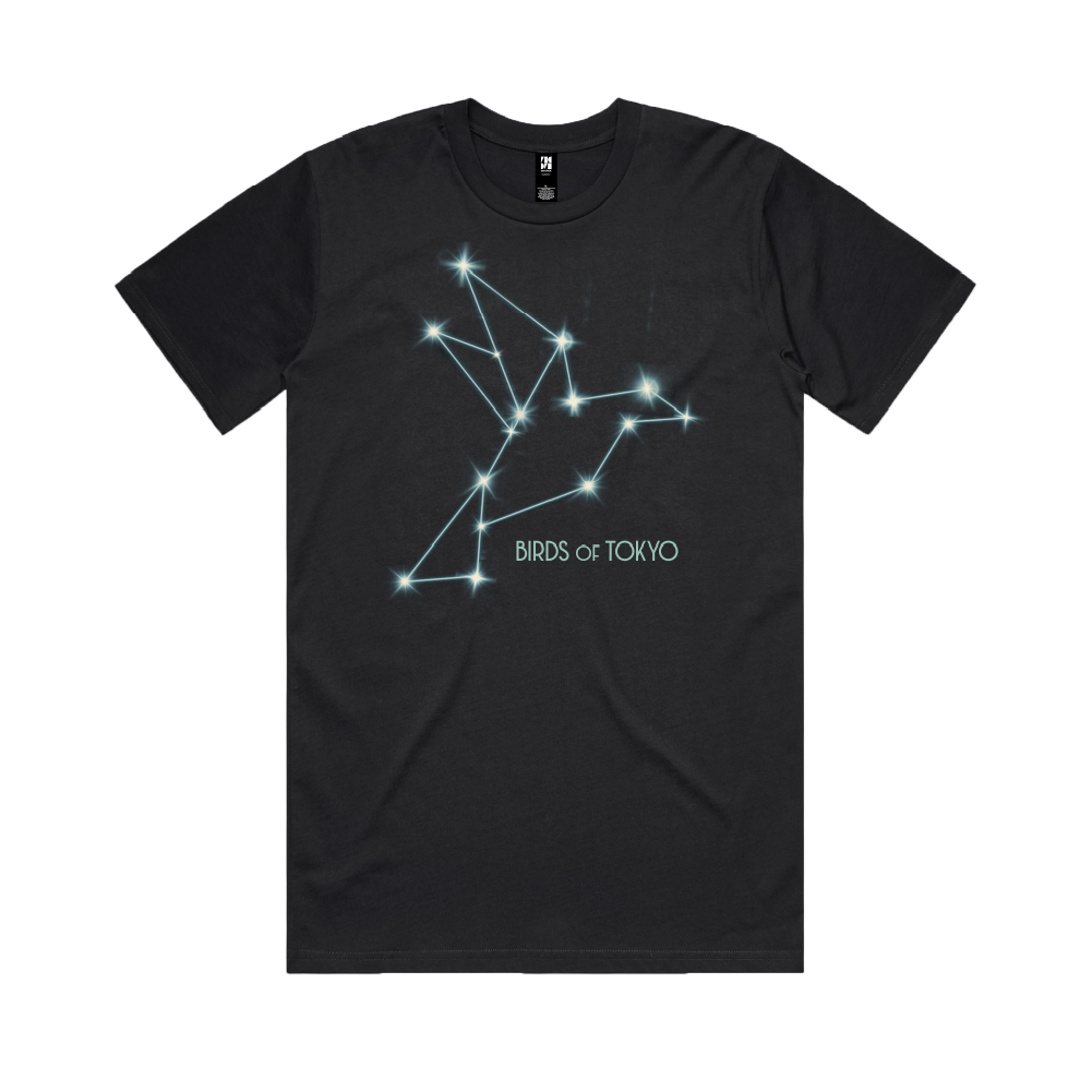 Birds of Tokyo / Starlights Tour Black T-Shirt