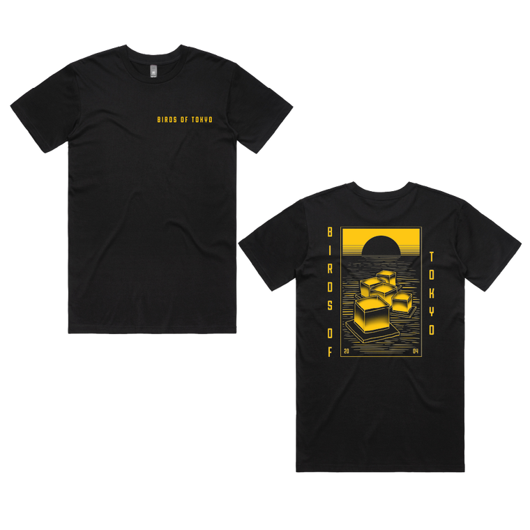 Birds Of Tokyo / Lantern T-Shirt in Black
