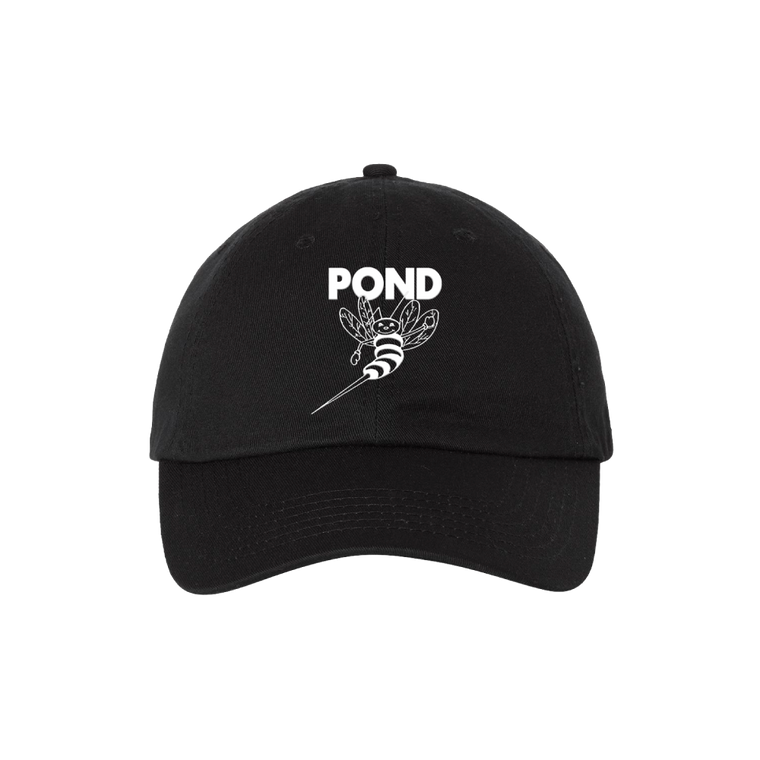 Pond / Stung! Black Dad Hat