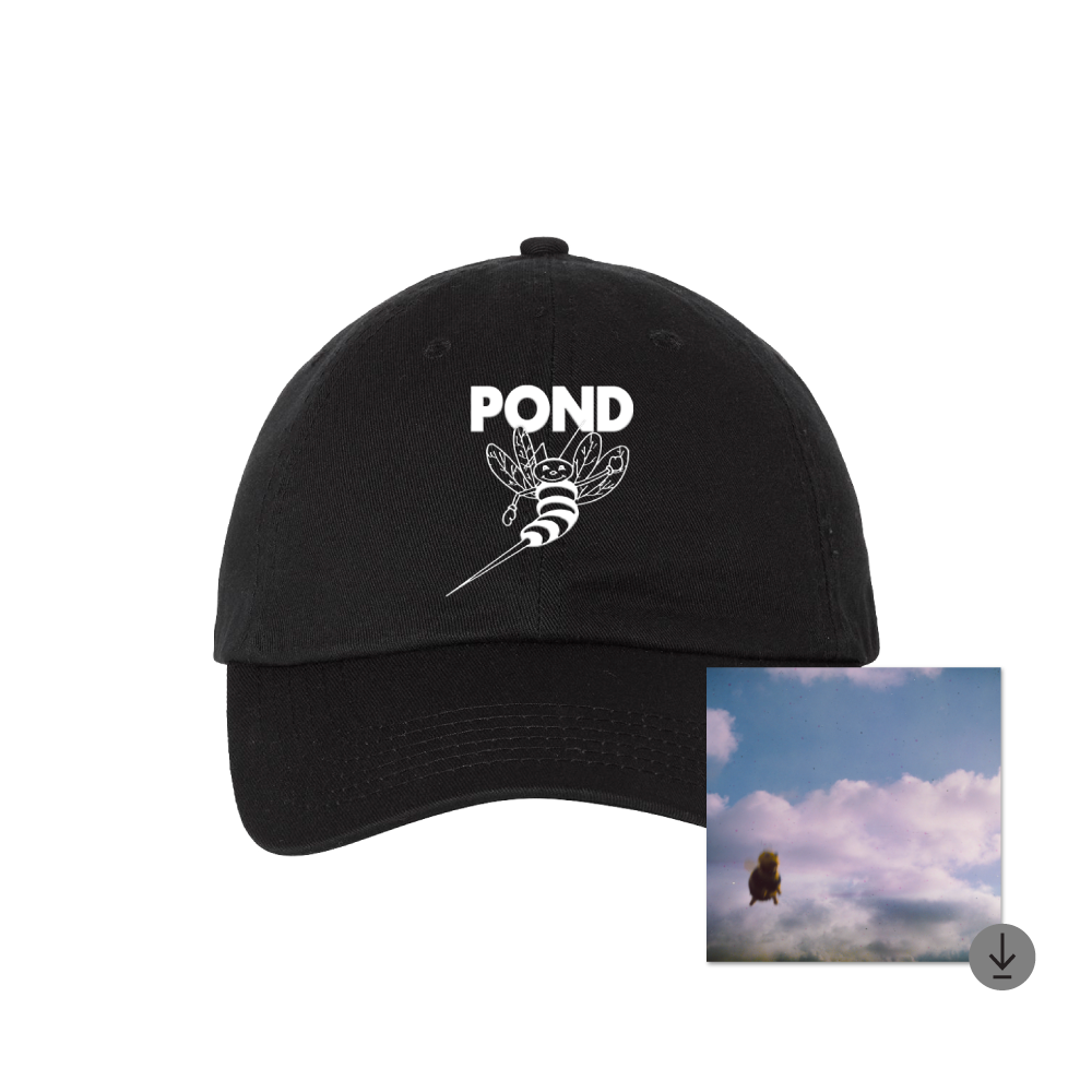 Pond / Stung! Black Dad Hat & Album ***PRE-ORDER***