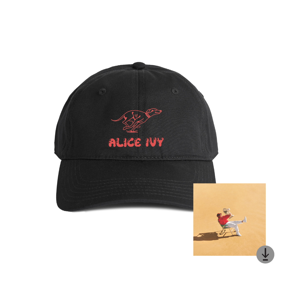 Alice Ivy / Do What Makes You Happy Charcoal Cap & Digital Download ***PRE-ORDER***