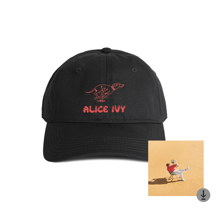 Alice Ivy / Do What Makes You Happy Charcoal Cap & Digital Download ***PRE-ORDER***