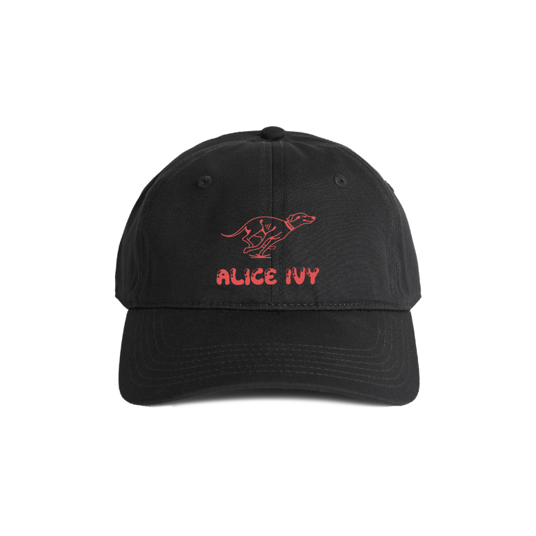 Alice Ivy / Do What Makes You Happy Charcoal Cap