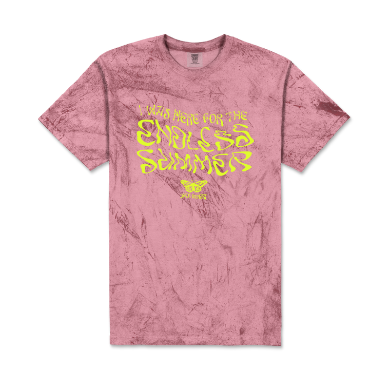 I Was Here For The Endless Summer / Clay T-Shirt