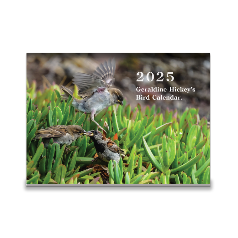 Geraldine Hickey / 2025 Bird Calendar