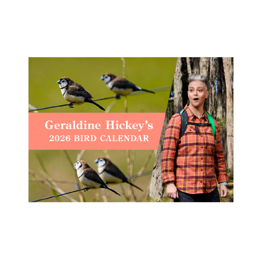 Geraldine Hickey / 2026 Bird Calendar ***PRE-ORDER***