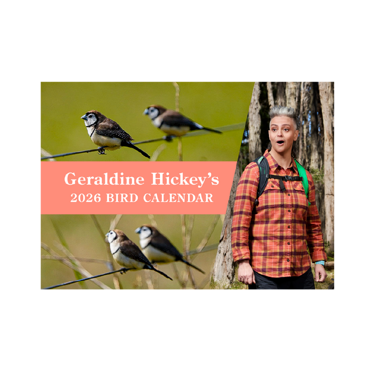 Geraldine Hickey / 2026 Bird Calendar ***PRE-ORDER***