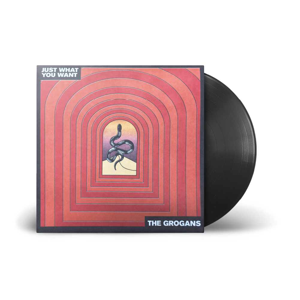 Just What You Want  Limited Alternate Red Cover 12" Vinyl