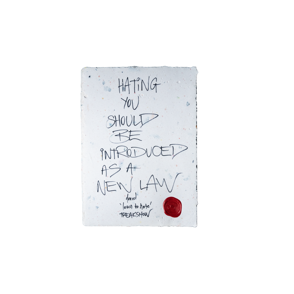 Daniel Johns / Freak Show Handwritten Lyric Sheet