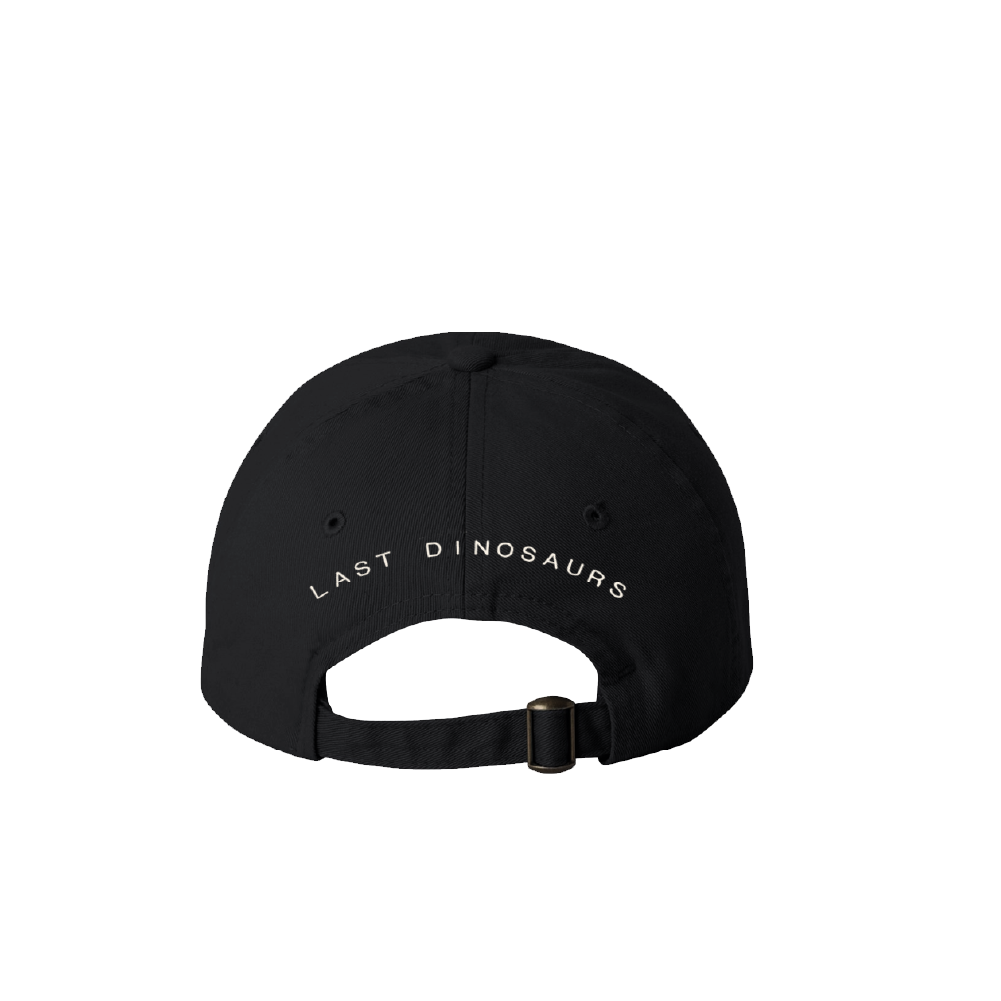 Last Dinosaurs / Wellness Black Cap
