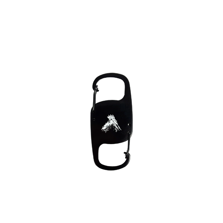 Last Dinosaurs / Wellness Carabiner