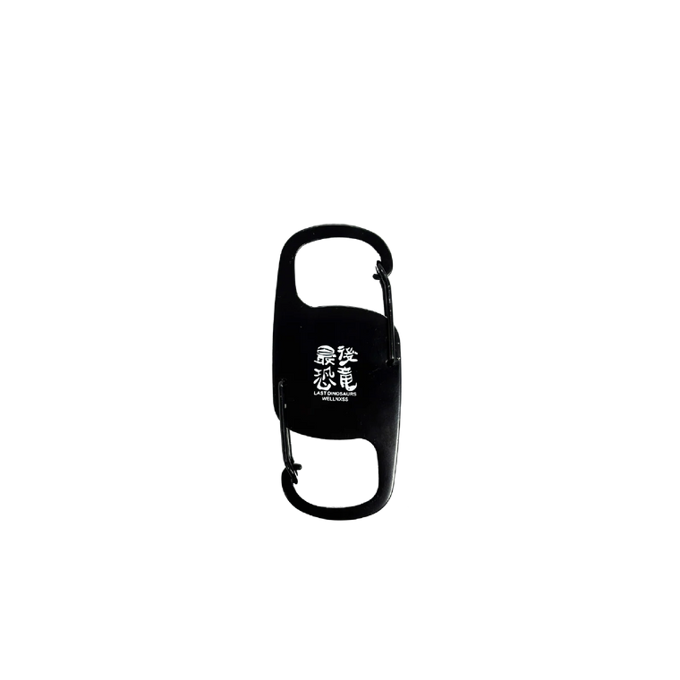 Last Dinosaurs / Wellness Carabiner