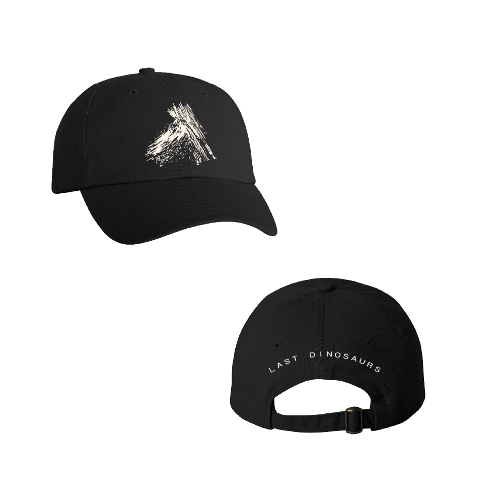 Last Dinosaurs / Wellness Black Cap