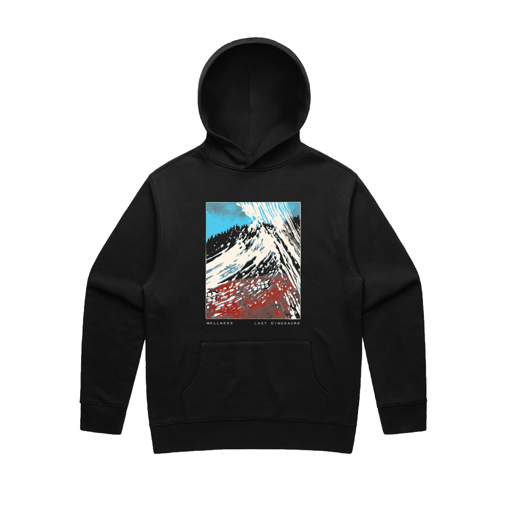 Last Dinosaurs / Wellness Faded Black Hoodie