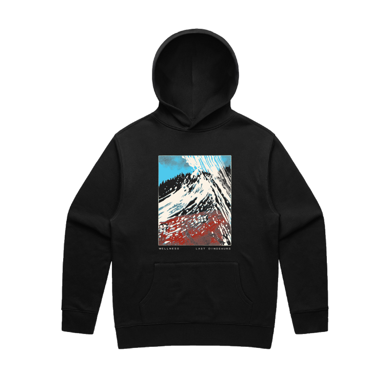 Last Dinosaurs / Wellness Faded Black Hoodie ***PRE-ORDER***