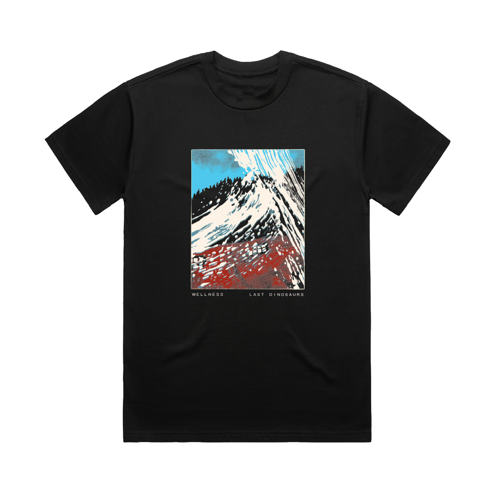 Last Dinosaurs / Wellness Faded Black T-Shirt
