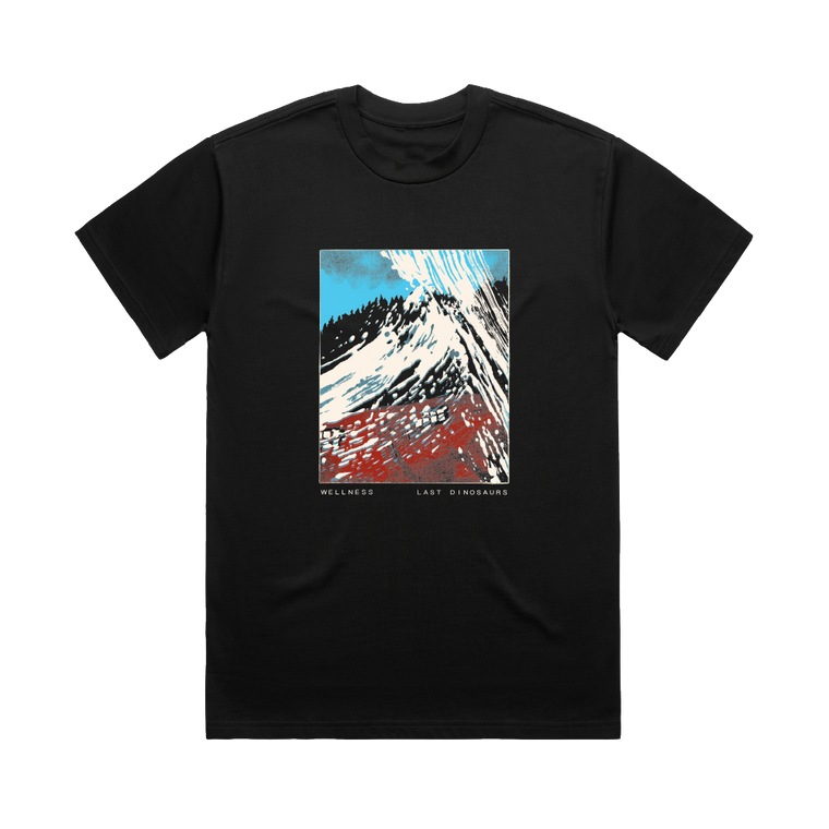 Last Dinosaurs / Wellness Faded Black T-Shirt ***PRE-ORDER***