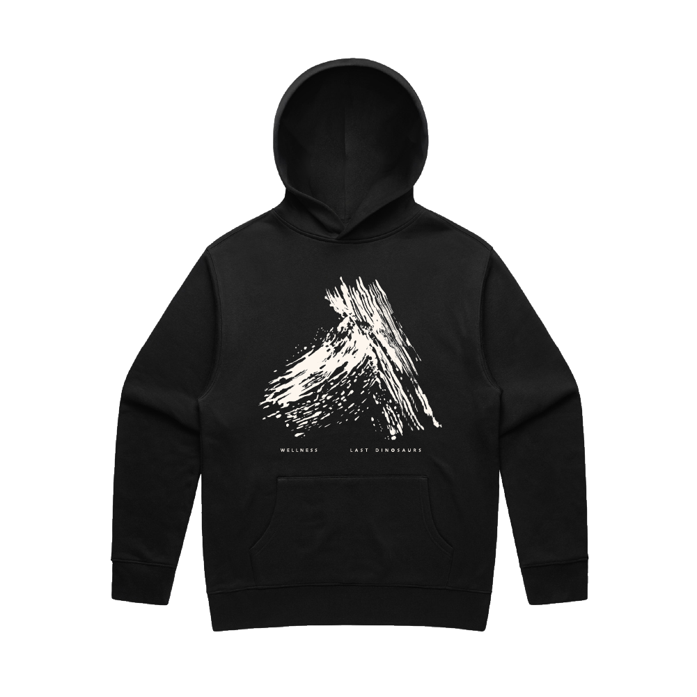 Last Dinosaurs / X Faded Black Hoodie