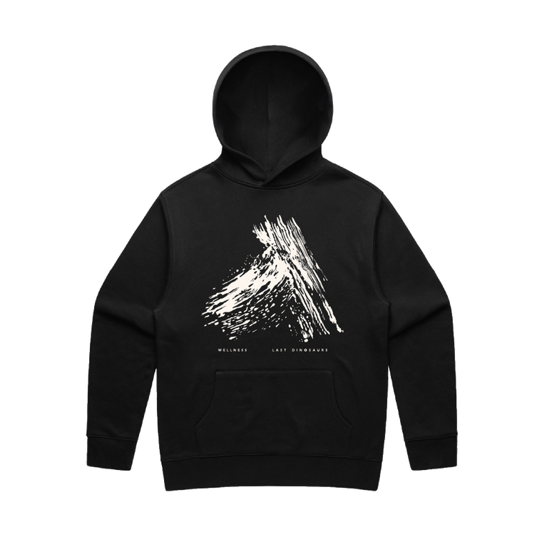 Last Dinosaurs / X Faded Black Hoodie ***PRE-ORDER***
