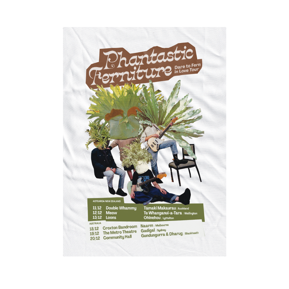 Phantastic Ferniture / Dare To Fearn In Love A3 Tour Poster