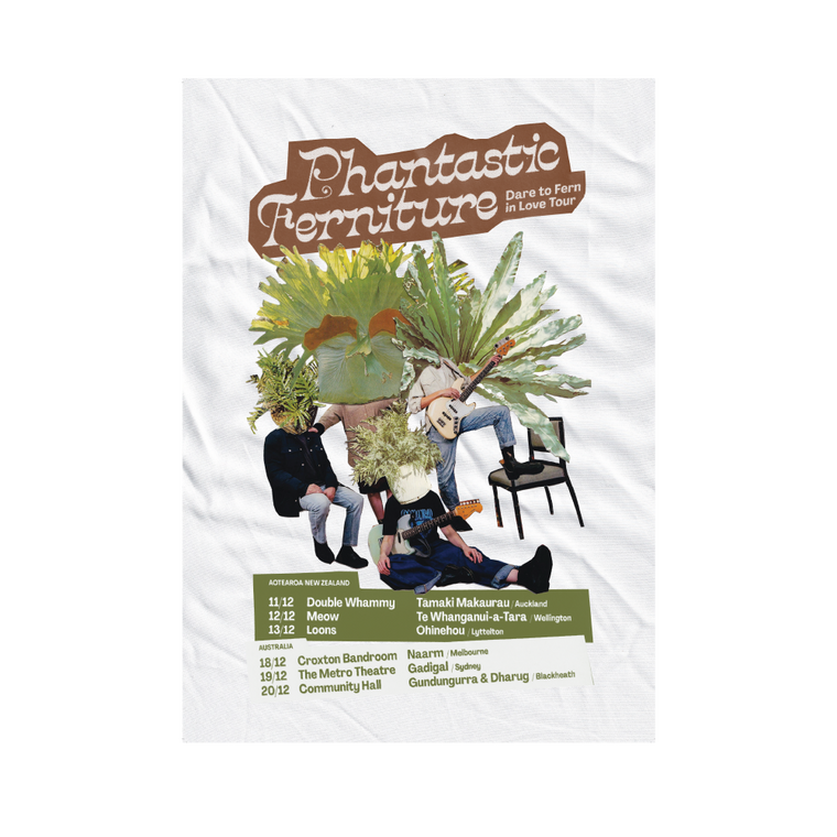 Phantastic Ferniture / Dare To Fearn In Love A3 Tour Poster