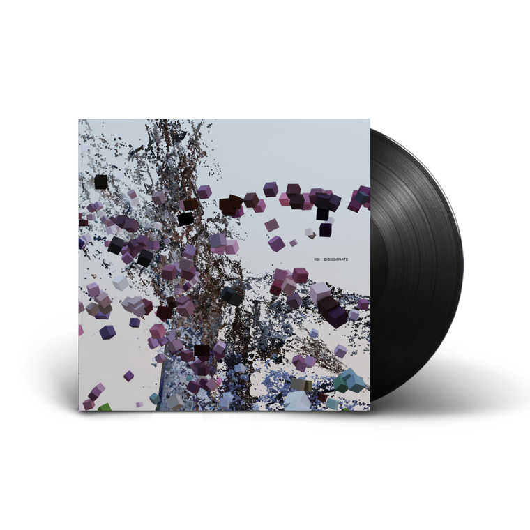 RBI / Disseminate LP Vinyl