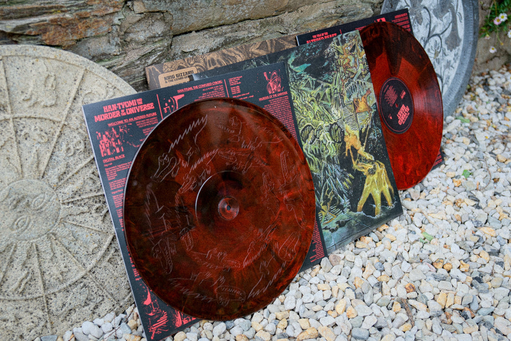 Murder Of The Universe / LP Vinyl