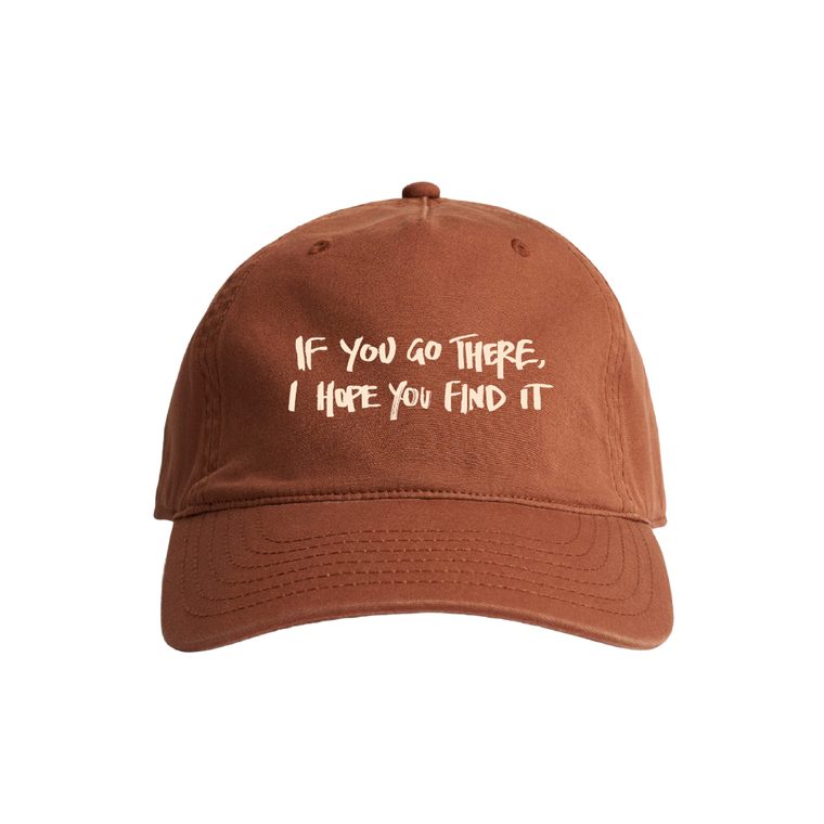 The Paper Kites / If You Go There, I Hope You Find It Brown Cap