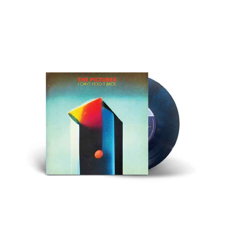 The Pictures / I Can't Hold It Back 7