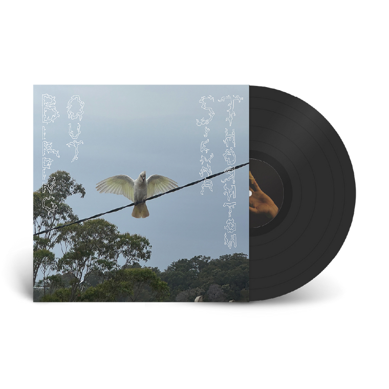 Sienna Thornton / Birding Out LP Black Vinyl