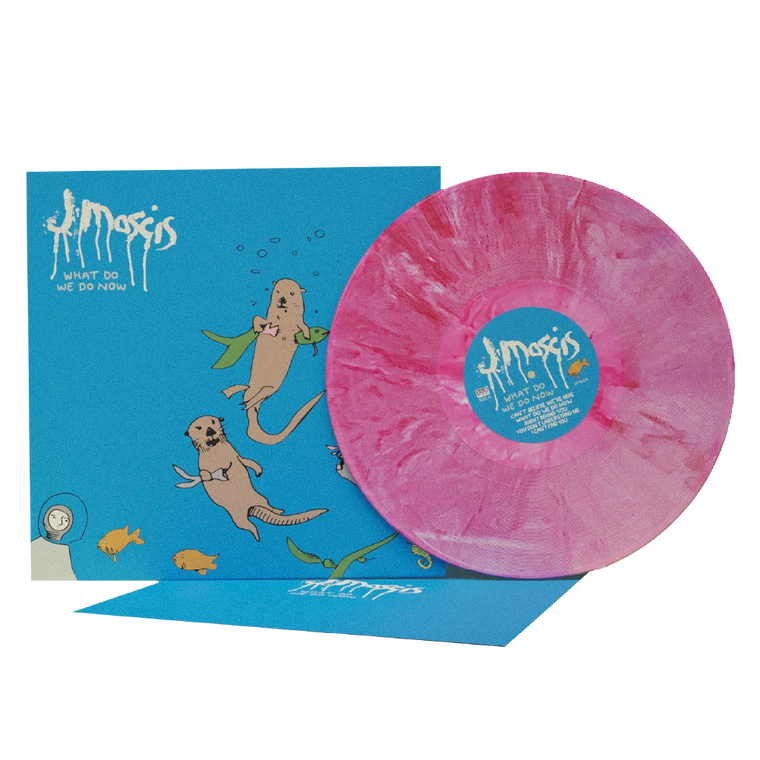 J Mascis / What Do We Do Now LP Marbled Pink Vinyl