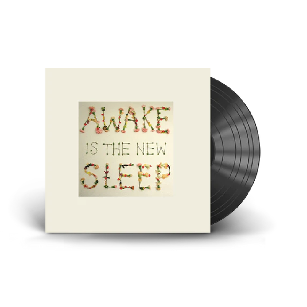 Ben Lee / Awake Is The New Sleep 2xLP Vinyl