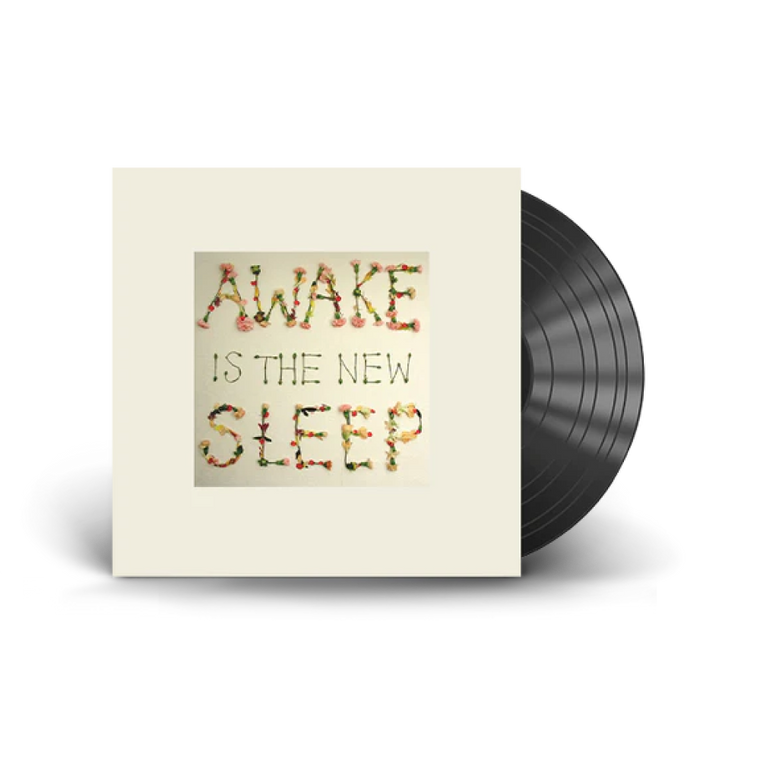 Ben Lee / Awake Is The New Sleep 2xLP Vinyl