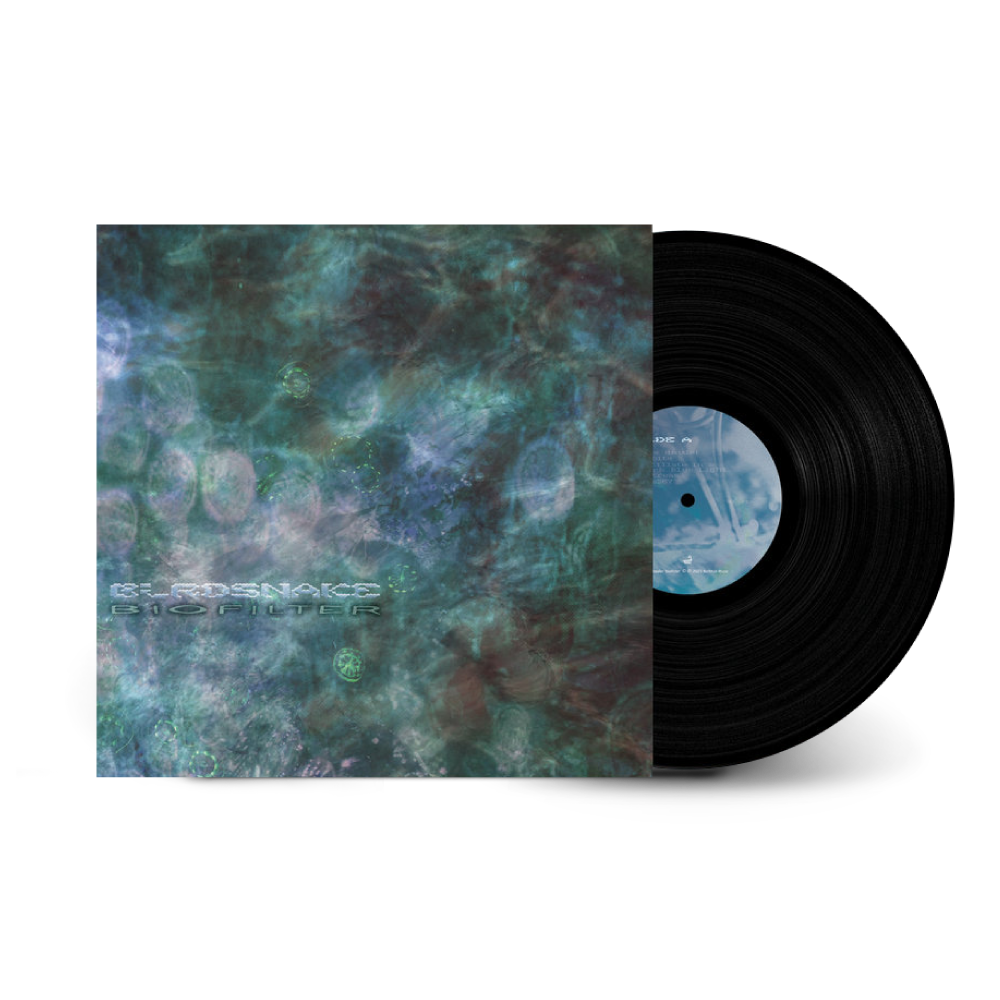 Birdsnake / Biofilter LP Vinyl