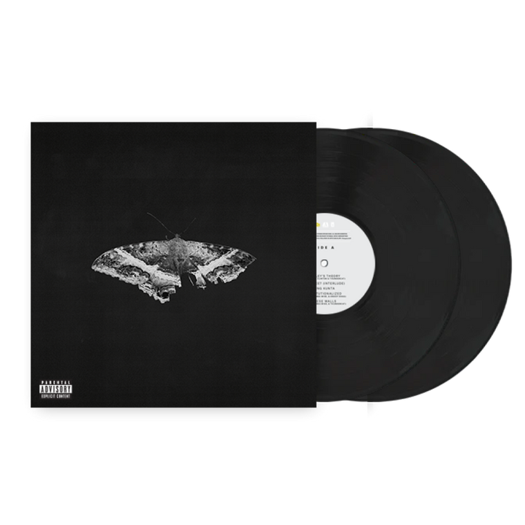 Kendrick Lamar / To Pimp A Butterfly 2xLP 10 Year Anniversary Edition Black Vinyl