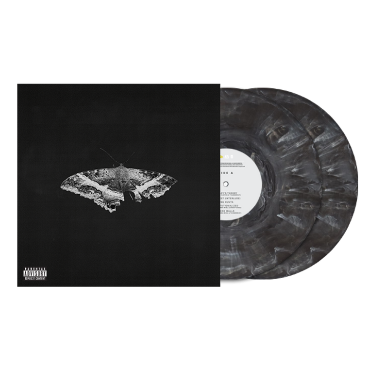 Kendrick Lamar / To Pimp A Butterfly 2xLP 10 Year Anniversary Edition Metallic Blends Vinyl