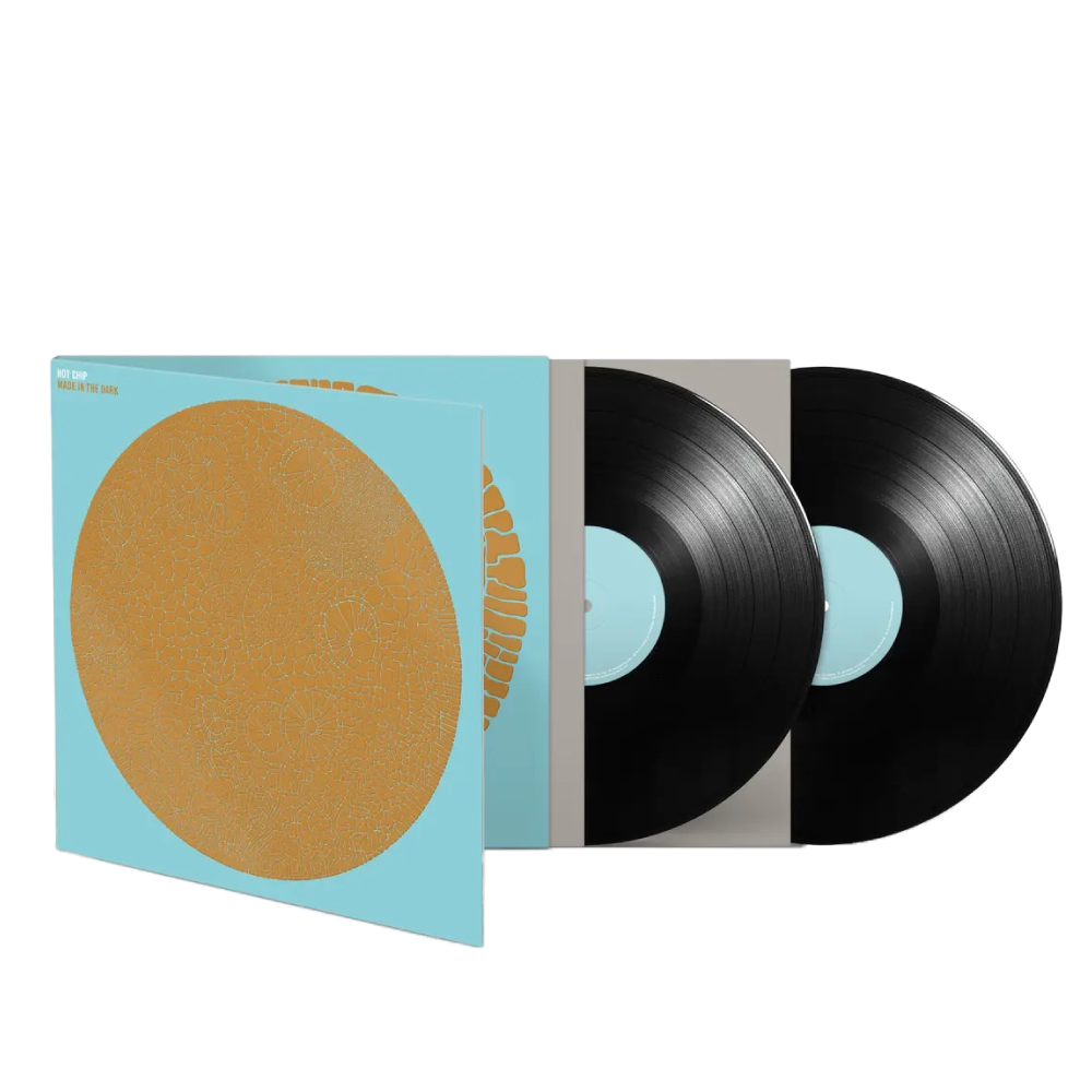 Hot Chip / Made In The Dark 2xLP Black Vinyl ***PRE-ORDER***