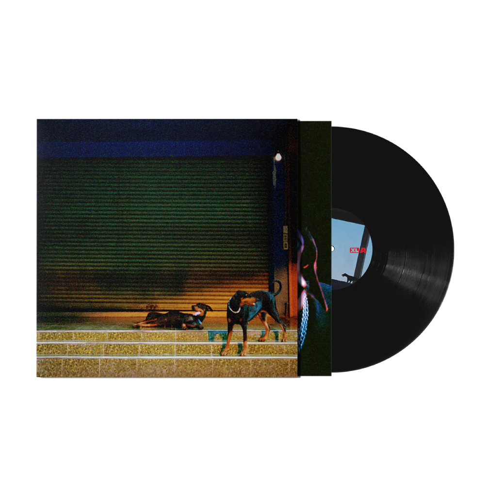 Overmono / Pure Devotion LP Black Vinyl ***PRE-ORDER***