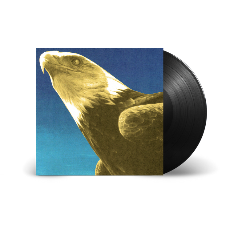 Protomartyr / Hotel Usona LP Black Vinyl